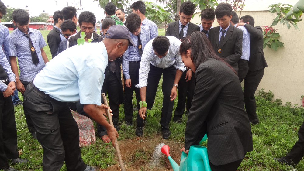 dbnepal-pics